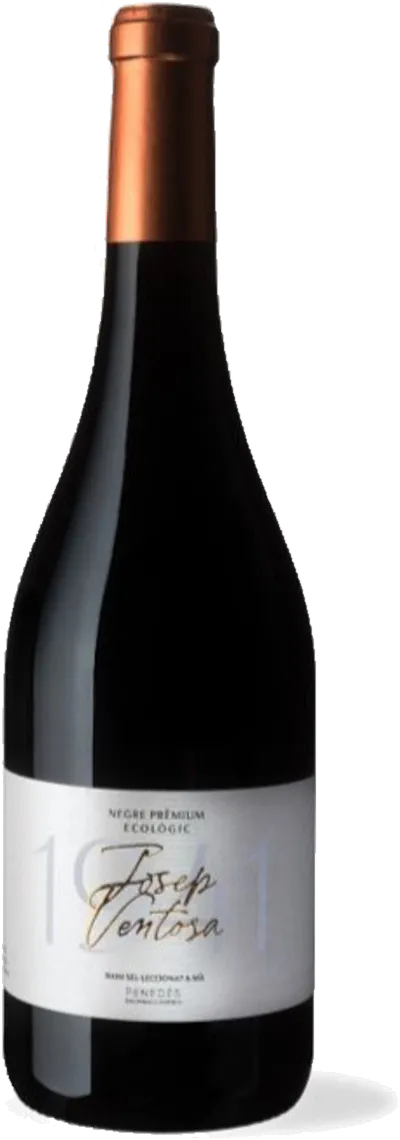 Vi Negre Barrica Ecològic DO Penedès